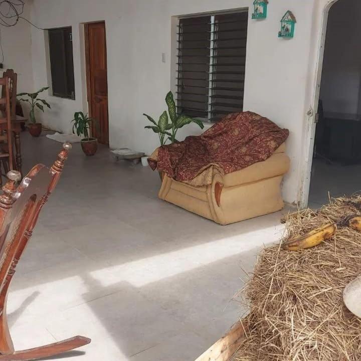 Hostal Brisas Del Ometepe Rivas Exterior photo